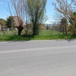 IMG_20220412_134520