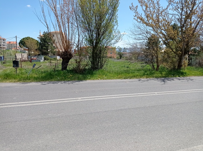IMG_20220412_134520