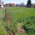 IMG_20220412_134541
