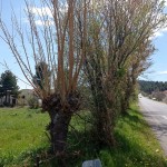 IMG_20220412_134548