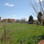 IMG_20220412_134550