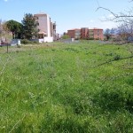 IMG_20220412_134603
