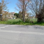 IMG_20220412_134623