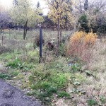 20201202_115358