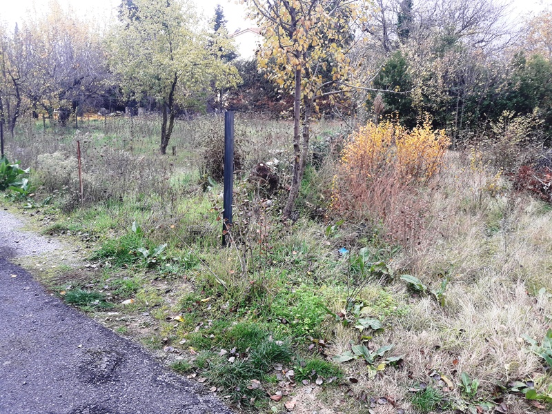 20201202_115358