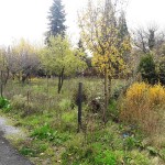 20201202_115405