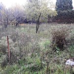 20201202_115417