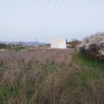 IMG_20240327_175540