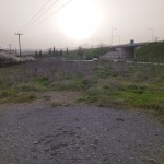 IMG_20240327_175825