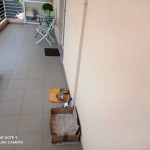 IMG_20210804_130536